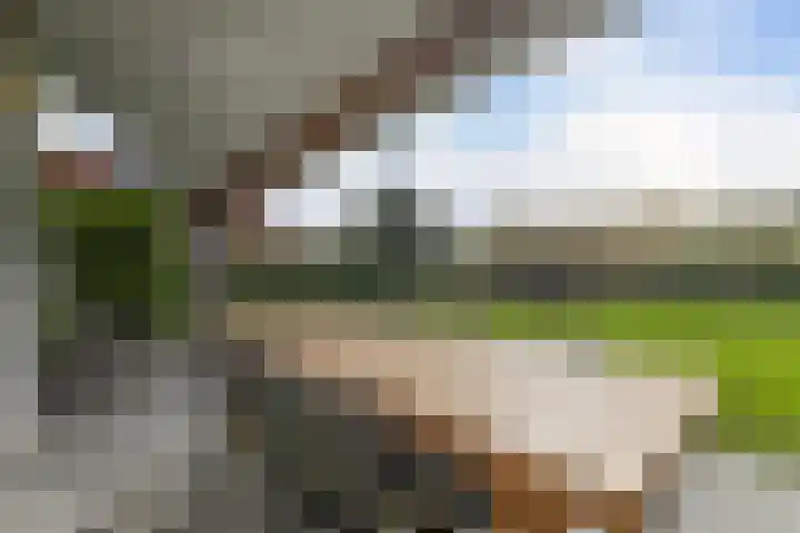 't Lage Duyn 56 Cadzand thumbnail 5