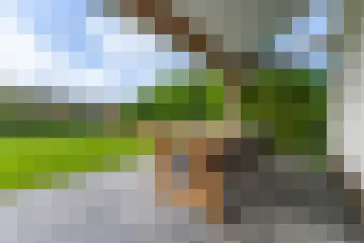 't Lage Duyn 56 Cadzand thumbnail 8