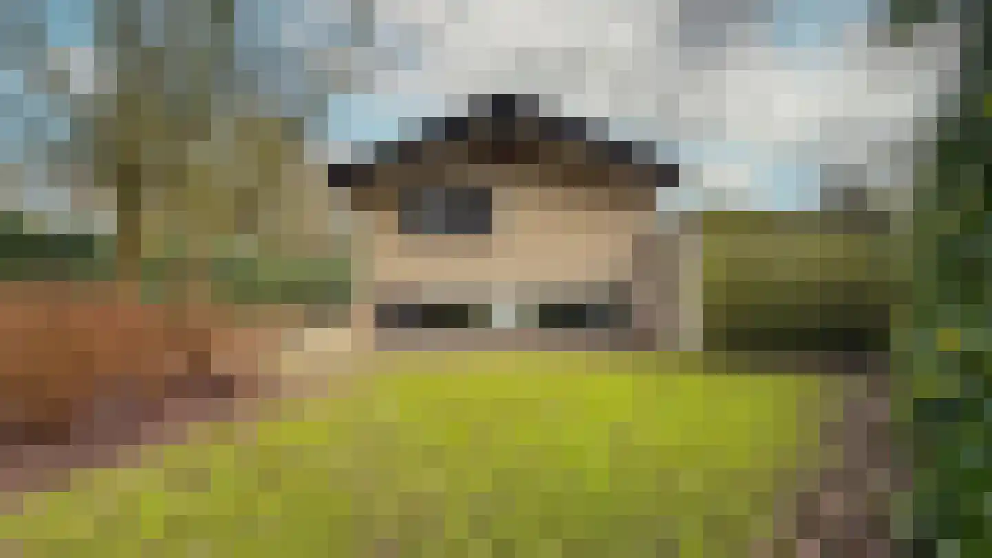 't Land 3 16 West-Terschelling thumbnail 26