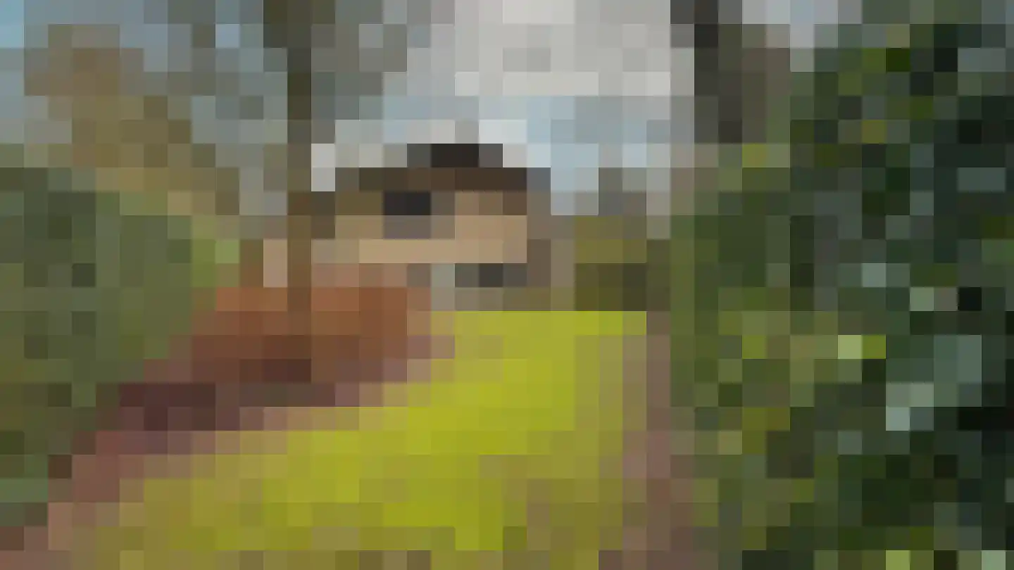 't Land 3 16 West-Terschelling thumbnail 28