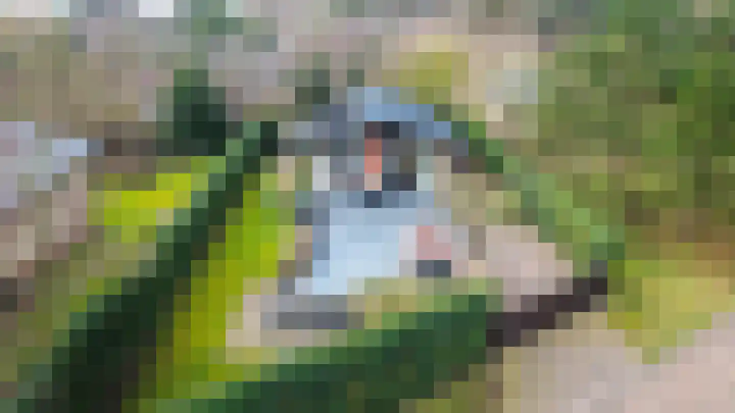 't Land 3 16 West-Terschelling thumbnail 29