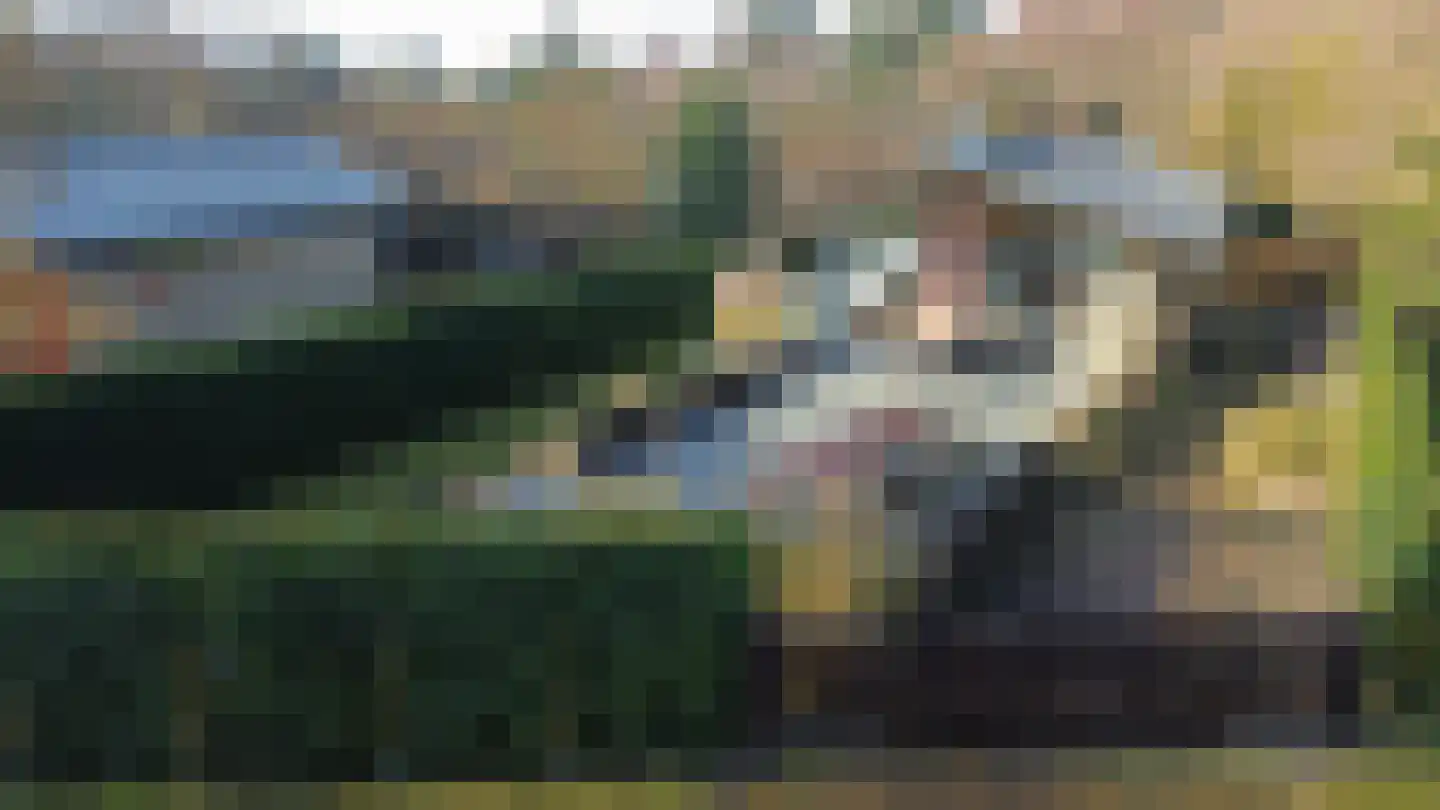 't Land 3 16 West-Terschelling foto 3