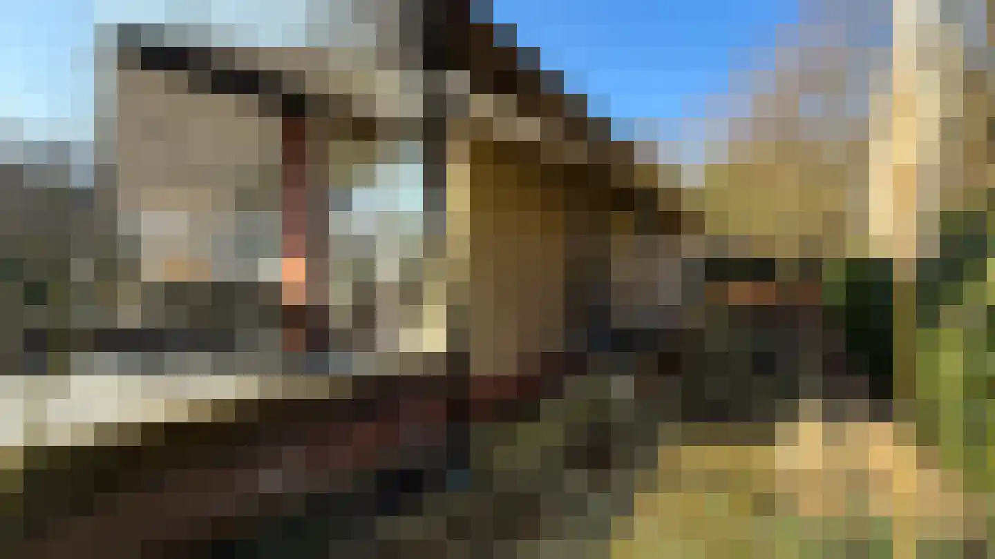 't Land 3 16 West-Terschelling thumbnail 4