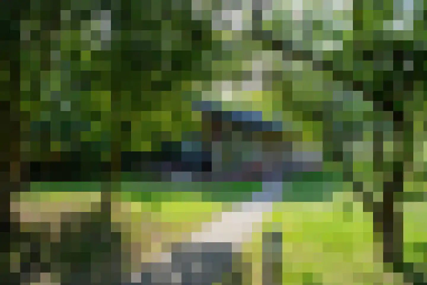 't Land 3 17 West-Terschelling thumbnail 29