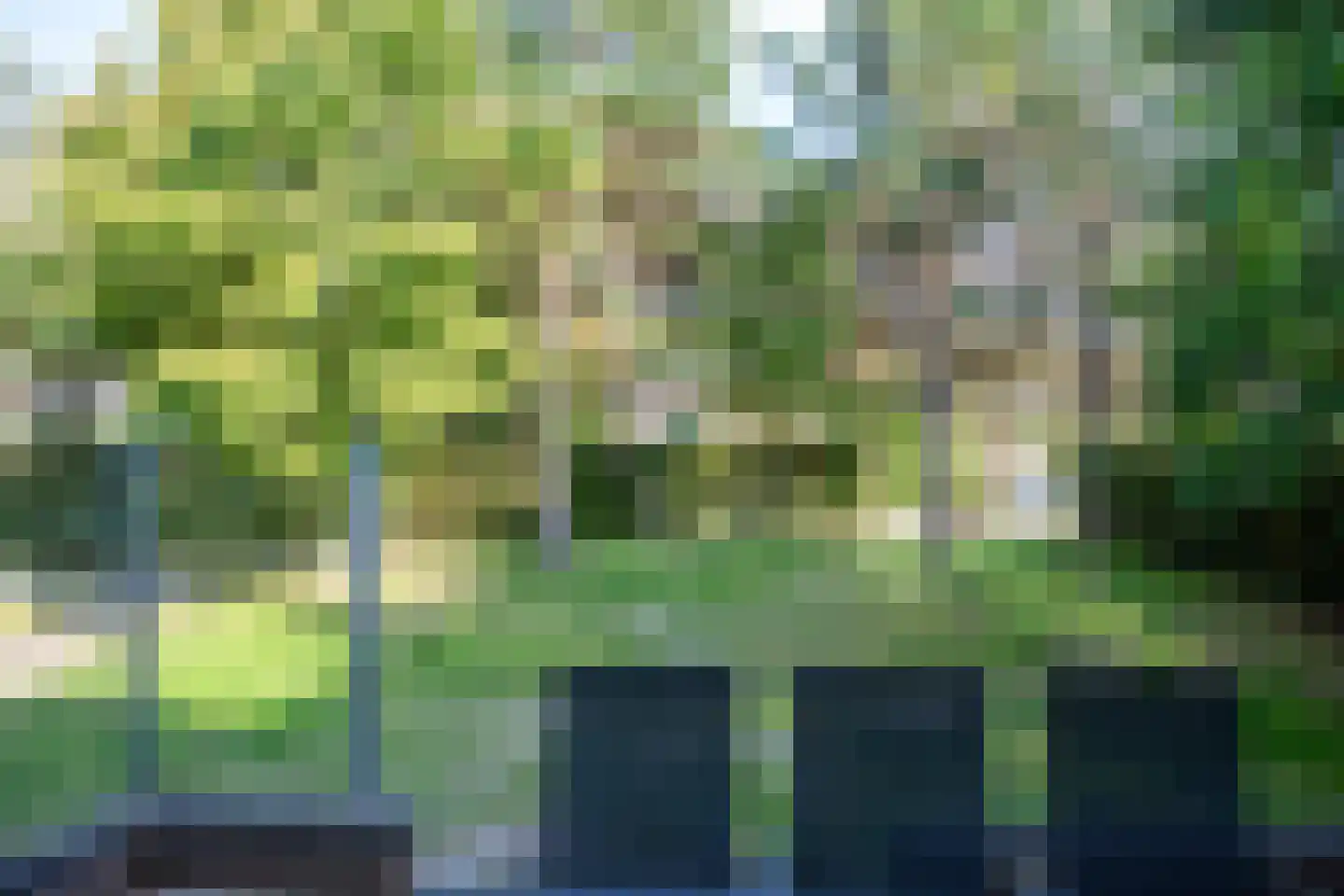 't Land 3 17 West-Terschelling thumbnail 31