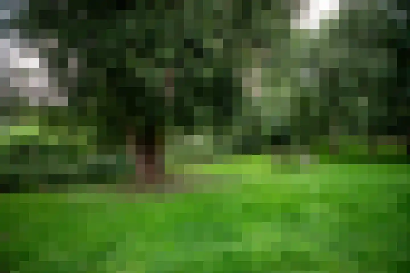 't Land 3 18 West-Terschelling thumbnail 35