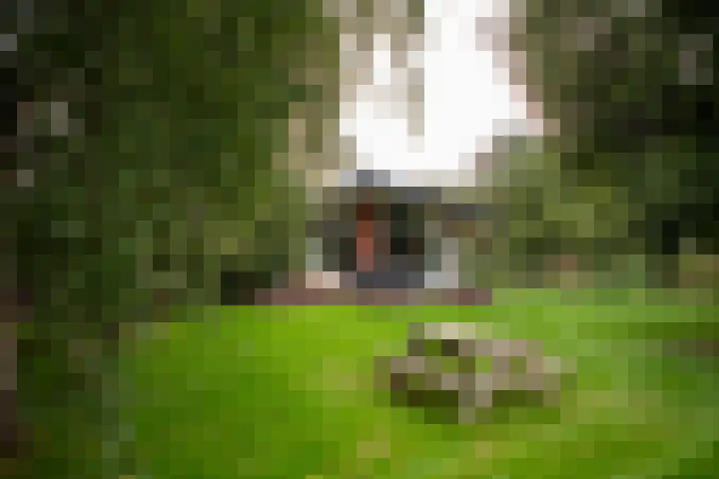 't Land 3 18 West-Terschelling thumbnail 4