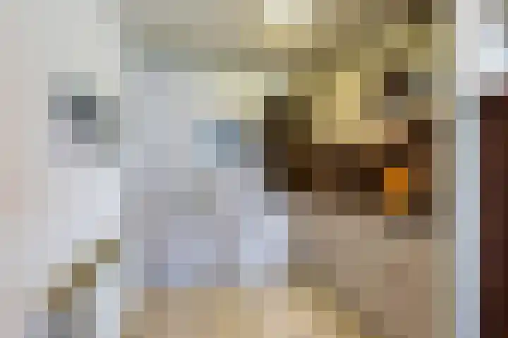 't Landschut 1 Waalre thumbnail 10