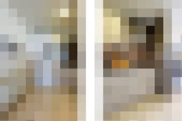 't Landschut 1 Waalre thumbnail 11