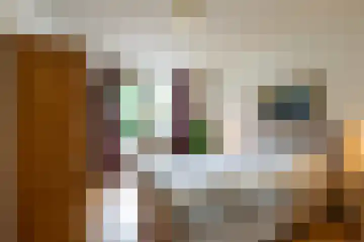 't Landschut 1 Waalre thumbnail 13