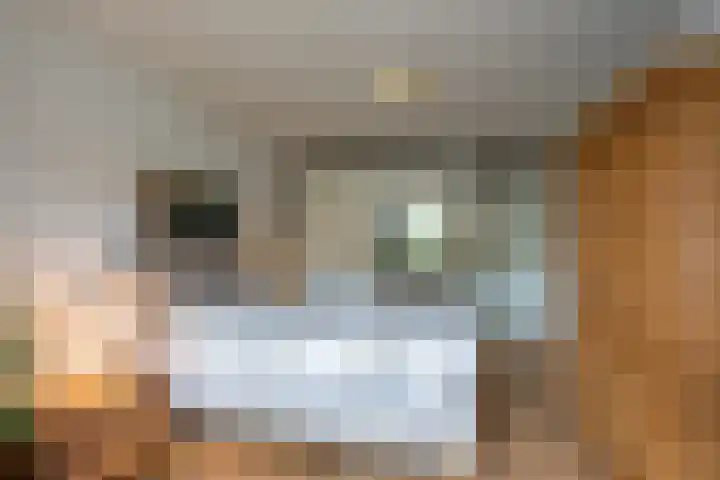 't Landschut 1 Waalre thumbnail 14