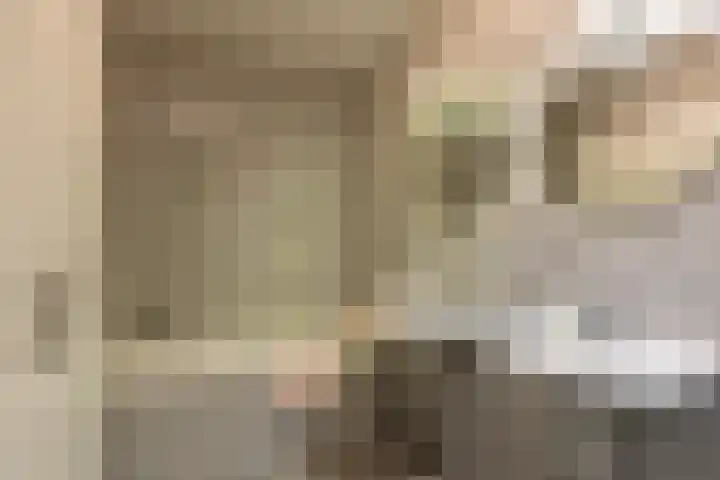 't Landschut 1 Waalre thumbnail 17