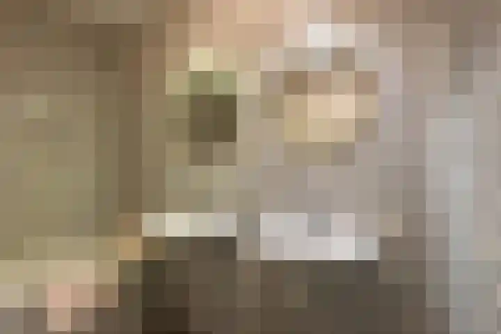 't Landschut 1 Waalre thumbnail 18