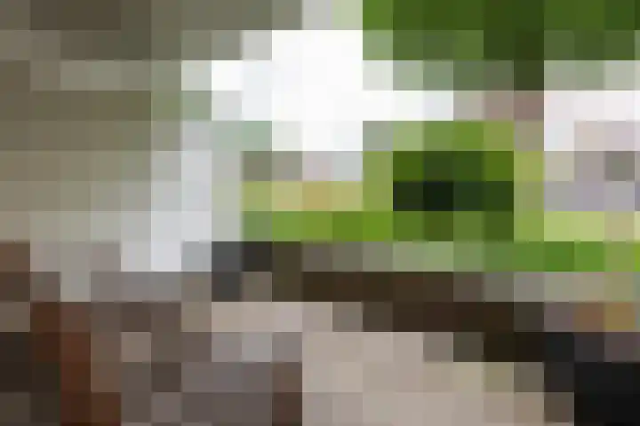 't Landschut 1 Waalre thumbnail 19