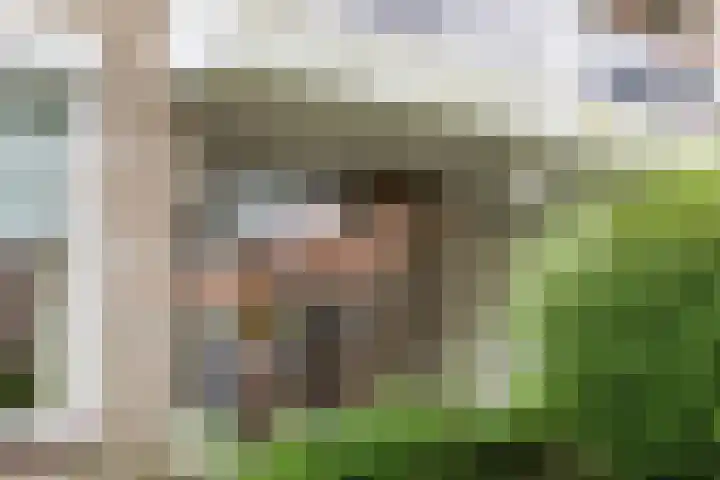 't Landschut 1 Waalre thumbnail 20