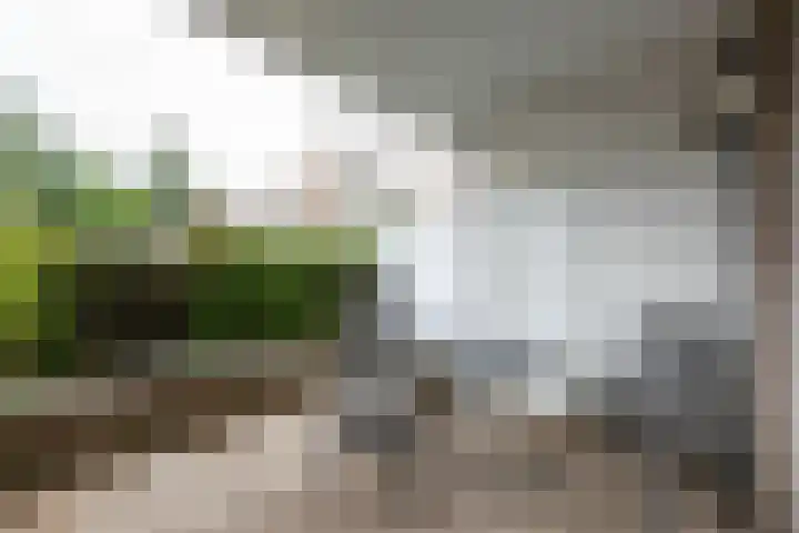 't Landschut 1 Waalre thumbnail 23