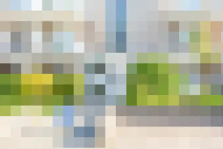 't Landschut 1 Waalre thumbnail 25