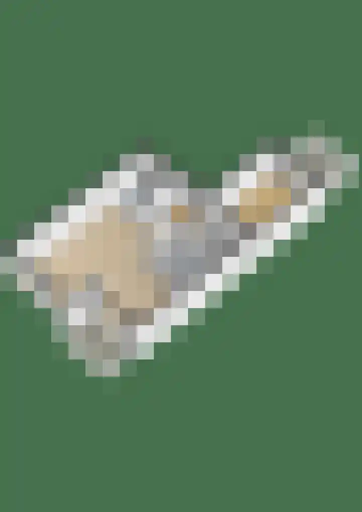 't Landschut 1 Waalre thumbnail 33