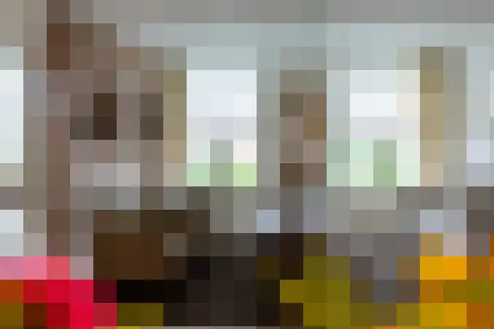 't Landschut 1 Waalre thumbnail 9