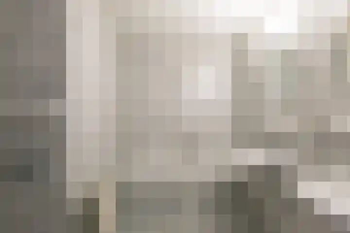't Landschut 2 Waalre thumbnail 16