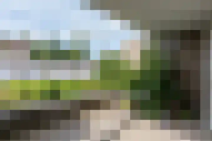 't Landschut 2 Waalre thumbnail 18