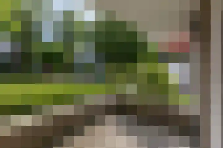 't Landschut 2 Waalre thumbnail 19