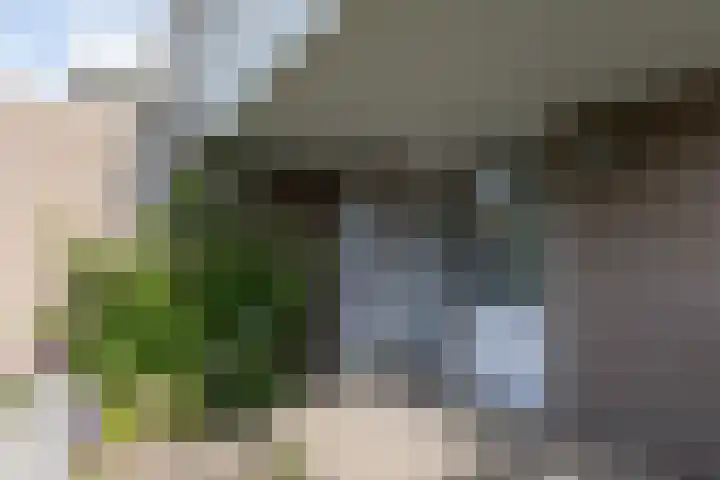't Landschut 2 Waalre thumbnail 20