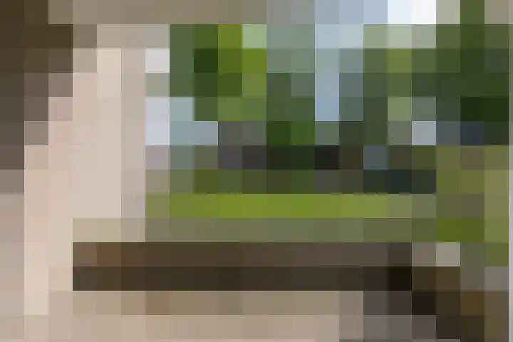 't Landschut 2 Waalre thumbnail 21