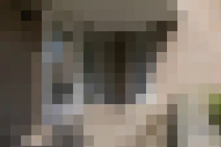't Landschut 2 Waalre thumbnail 22