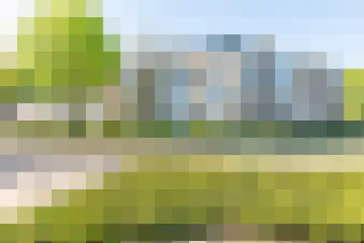 't Landschut 2 Waalre thumbnail 25