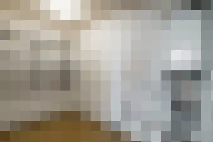 't Landschut 2 Waalre thumbnail 9