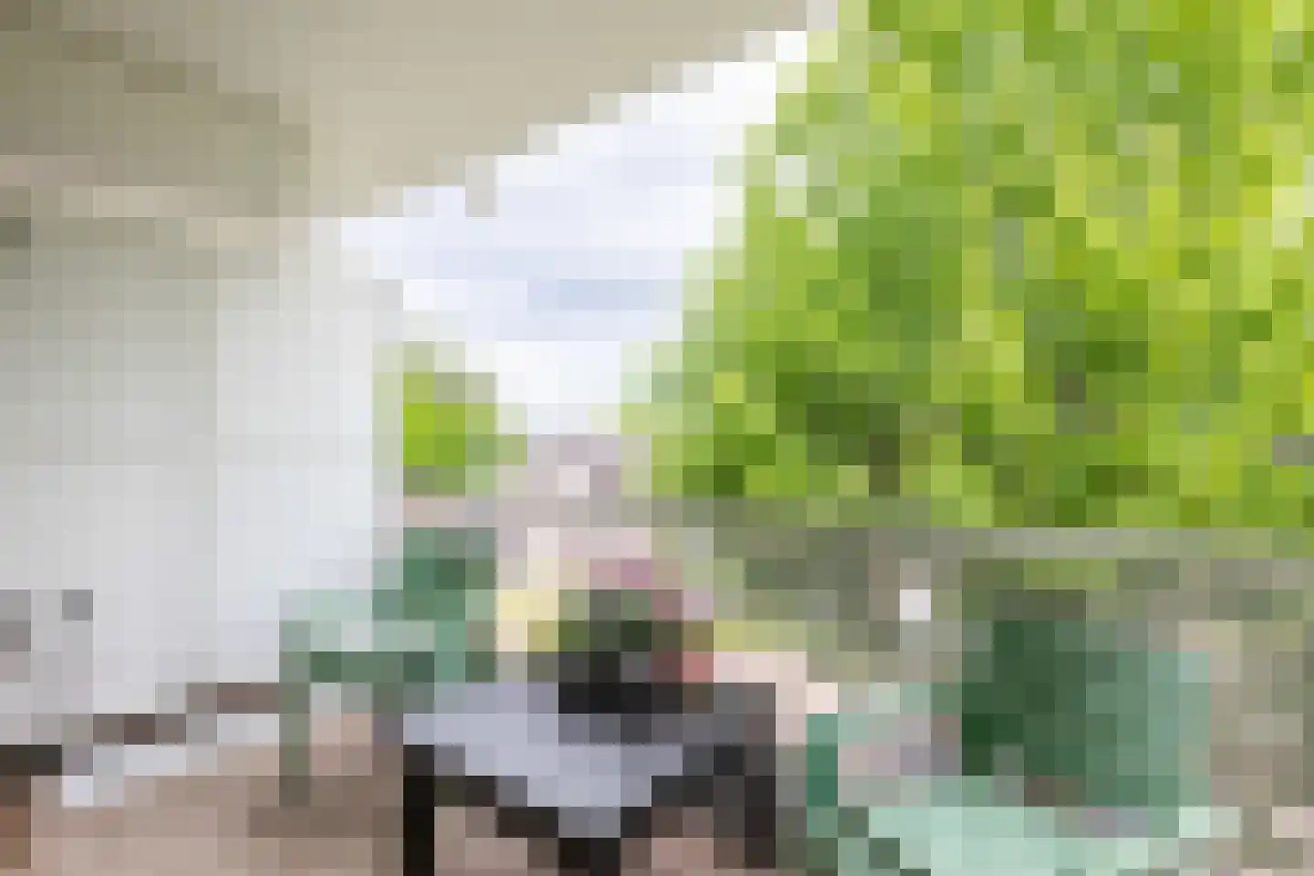 't Landschut 5 Waalre thumbnail 14