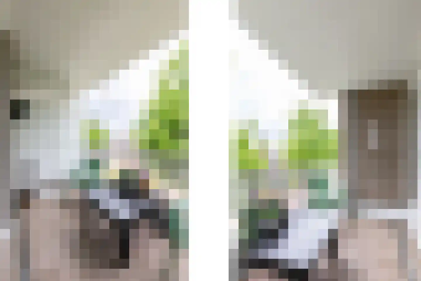 't Landschut 5 Waalre thumbnail 15