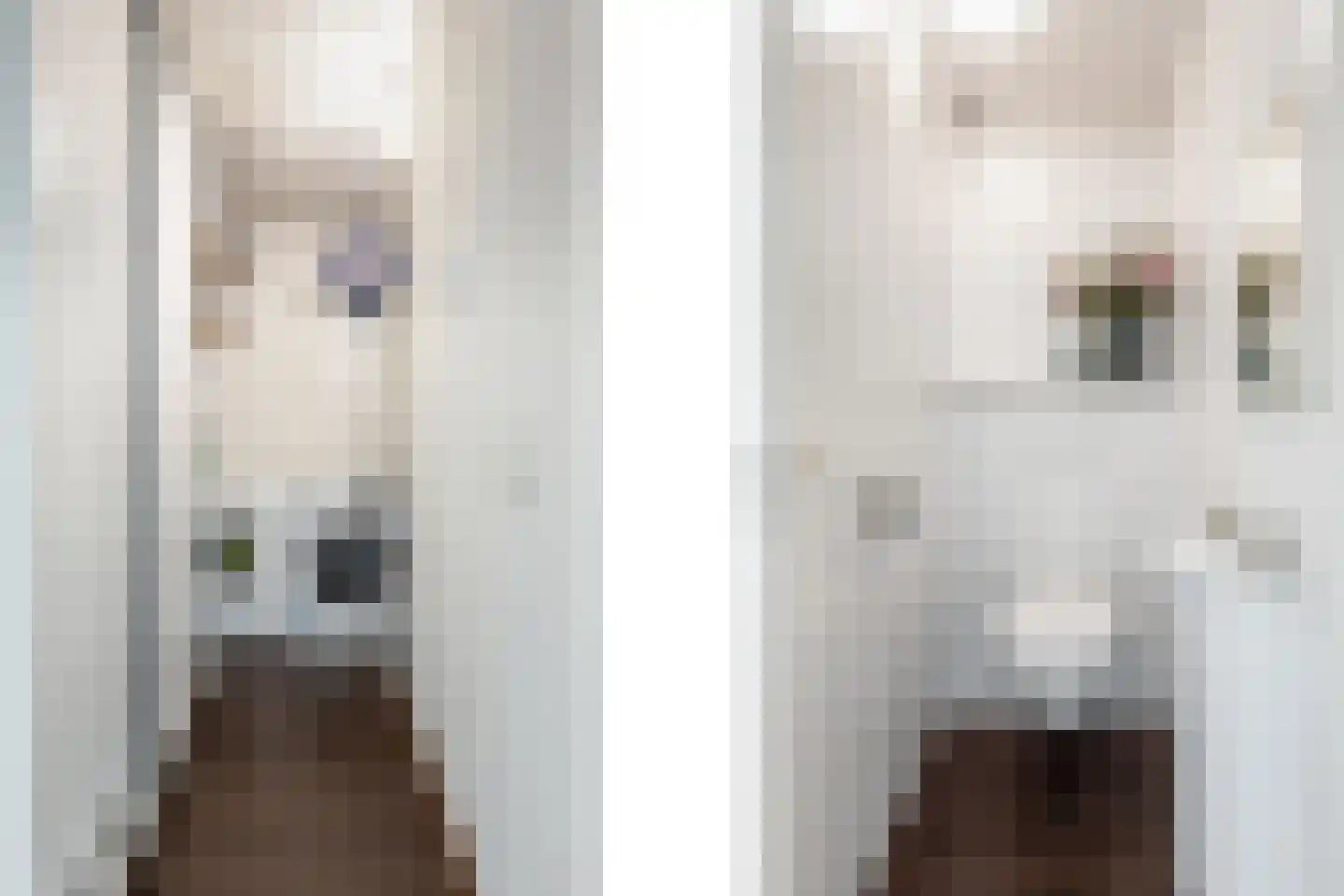 't Landschut 5 Waalre thumbnail 23