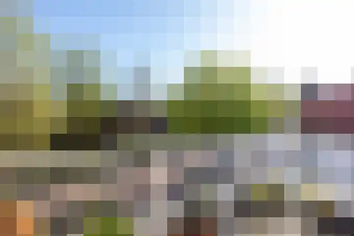 't Landschut 6 Waalre thumbnail 11