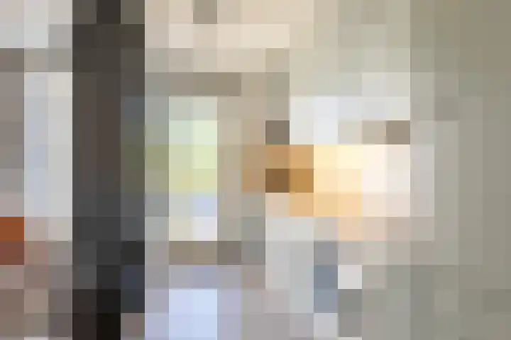 't Landschut 6 Waalre thumbnail 9