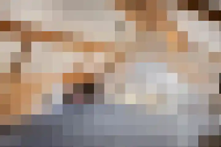 't Lange 14 Gastel thumbnail 16