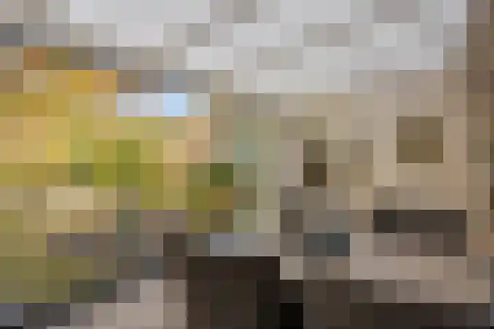 't Lange 14 Gastel thumbnail 21