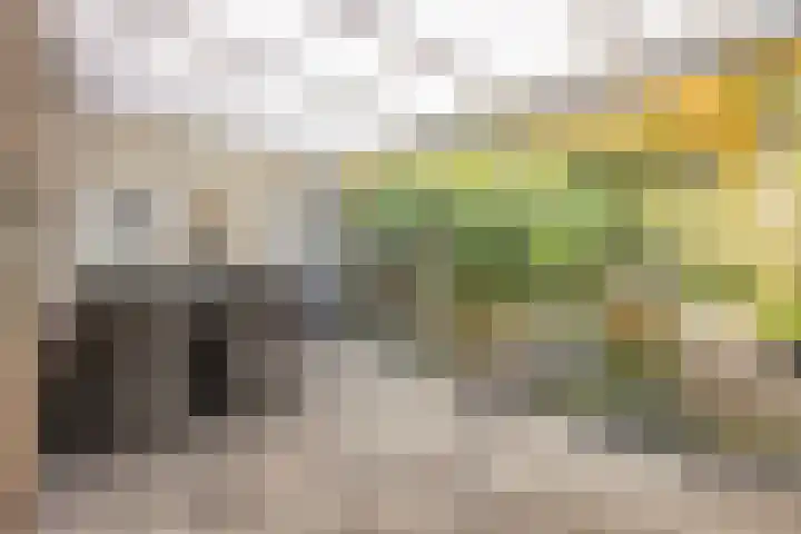 't Lange 14 Gastel thumbnail 22