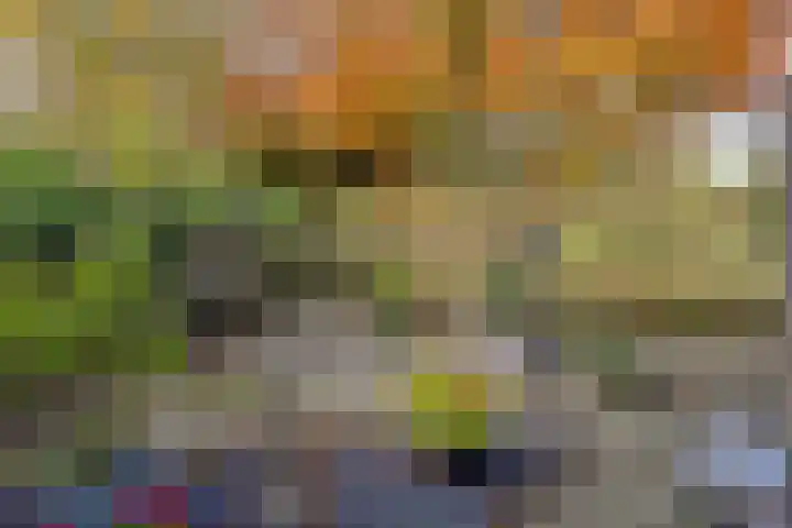 't Lange 14 Gastel thumbnail 24