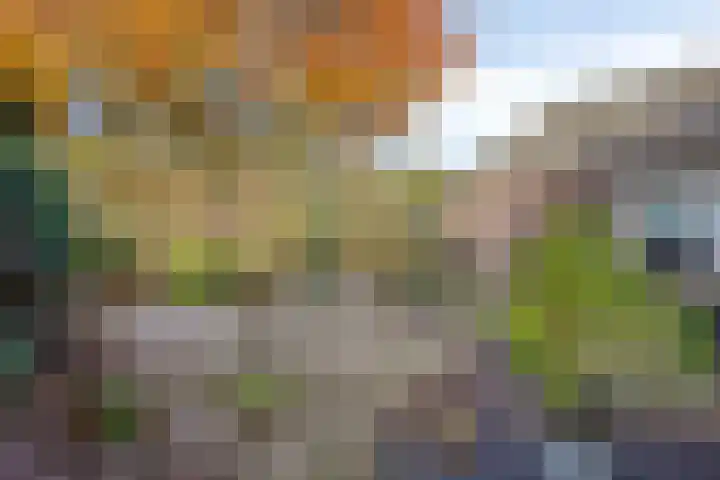't Lange 14 Gastel thumbnail 25