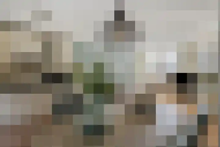 't Lange 14 Gastel foto 3