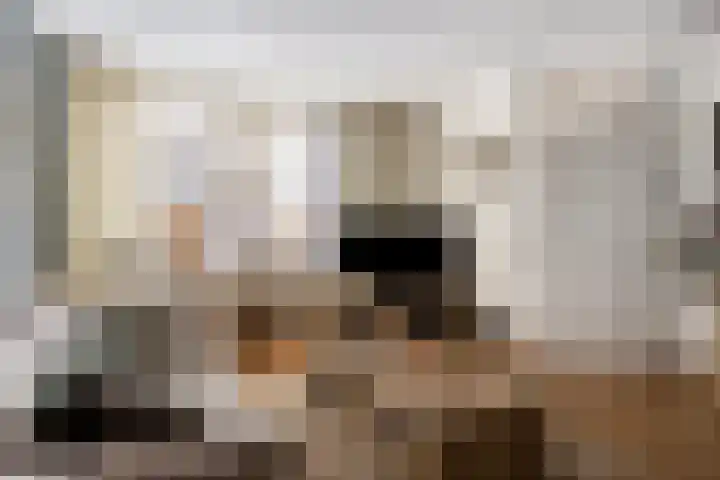 't Lange 14 Gastel thumbnail 4
