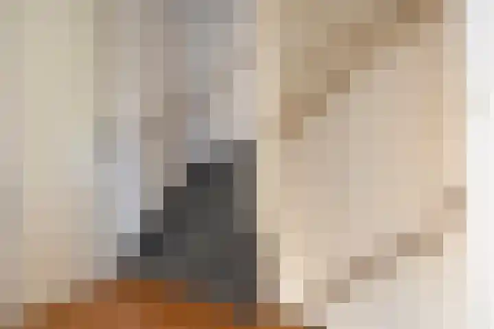 't Lange 14 Gastel thumbnail 9