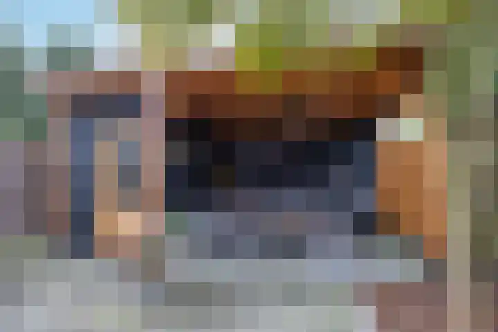 't Leantsje 100 Gorredijk thumbnail 28