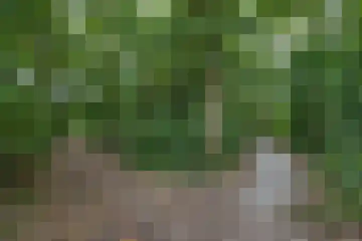 't Leantsje 100 Gorredijk thumbnail 31