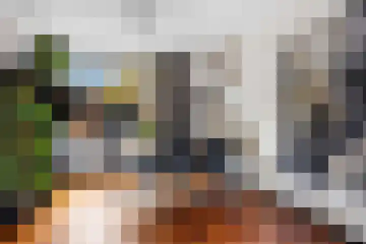 't Leantsje 100 Gorredijk thumbnail 8
