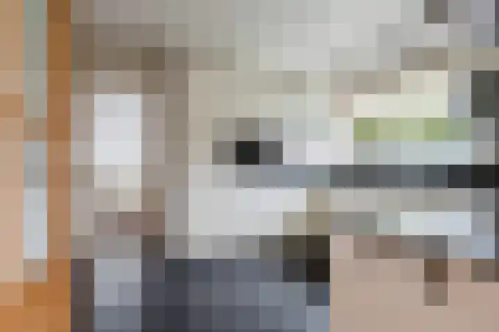 't Leantsje 12 Gorredijk thumbnail 11