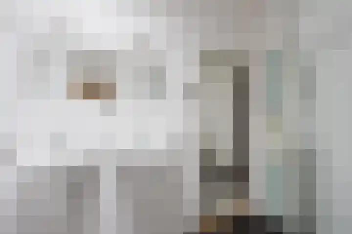 't Leantsje 12 Gorredijk thumbnail 15