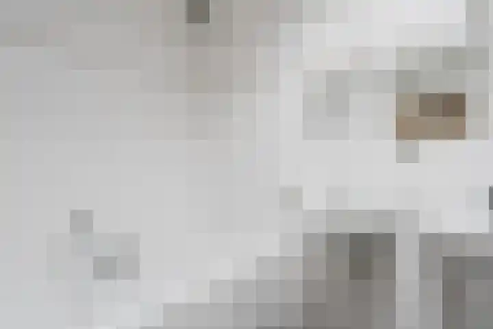 't Leantsje 12 Gorredijk thumbnail 17